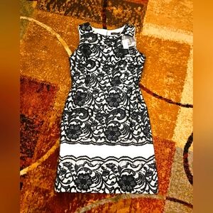 Women's NWT "The Limited" Size 10 Black Lace Sheath Dress!